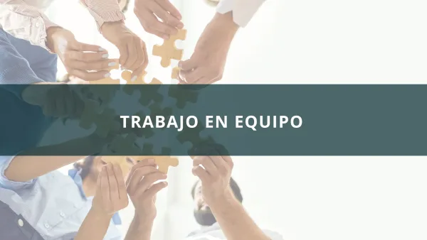Trabajo en equipo