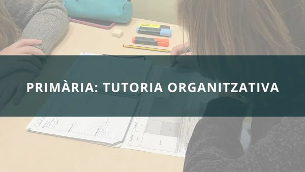 Primària: Tutoria Organitzativa